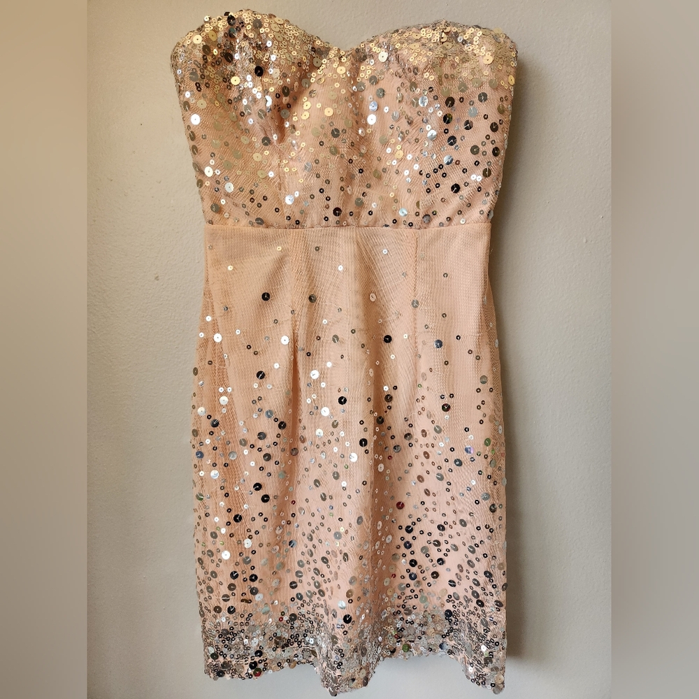 Light Pink Sequin Strapless Dress